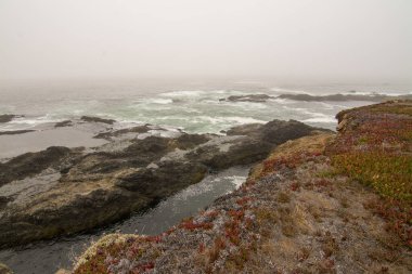 Okyanus kayalığı kıyı manzarası fırtına ve sis