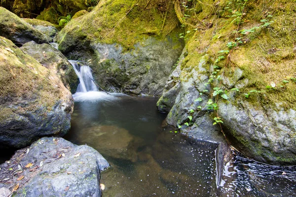 Cascada Pequeña Del Arroyo Selva Tropical California — Foto de Stock
