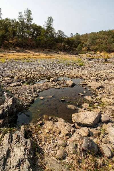 Fluss Während Dürre Sehr Niedrig — Stockfoto