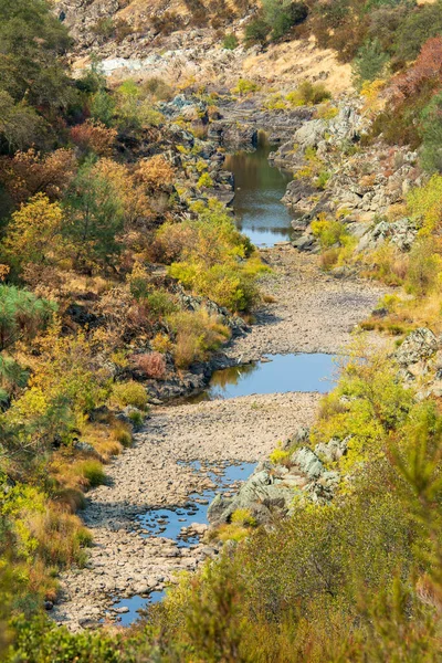 Řeka Během Sucha Velmi Nízká Voda — Stock fotografie