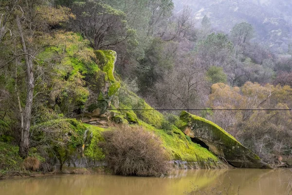 Putah Creek California Stream Rockt Moos — Stockfoto