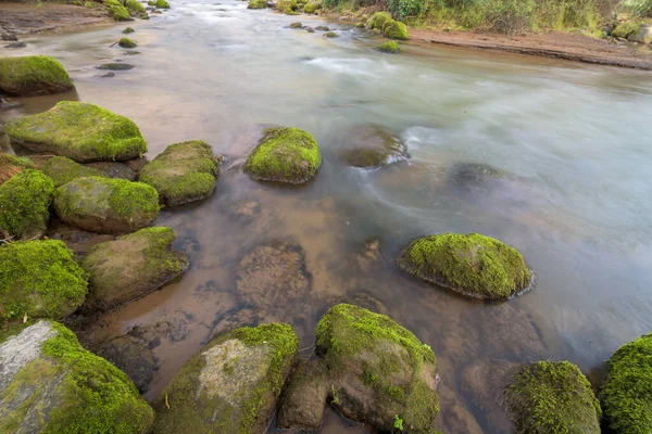 Прозрачная Река Текущая Скалистой Поверхности Большими Камнями Покрытыми Зеленой Пышной — стоковое фото
