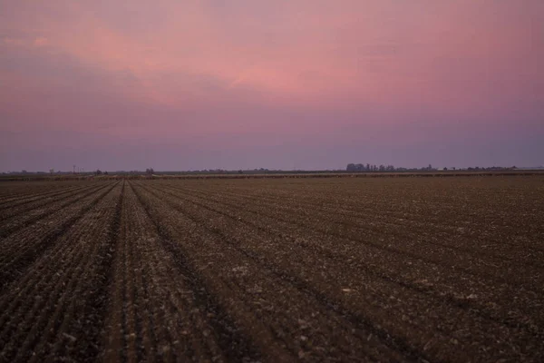 Früh Morgen Landschaft Von Bestellten Feld — Stockfoto