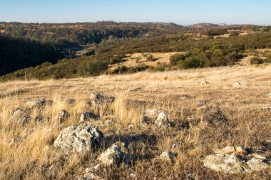 El Dorado Hills, Kaliforniya 'da, kuru çimenlik alanda kayalar ortaya çıkar.