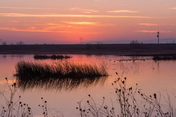 stock image landscape of early morning wetlands