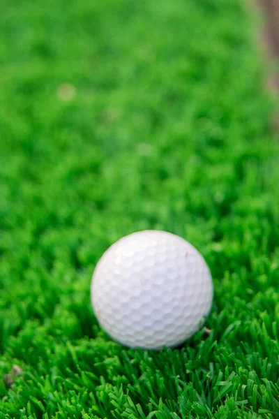 Alacsony Szög Golf Labda Gyepen — Stock Fotó
