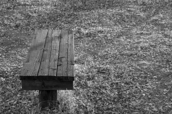 户外的旧木凳风化了 — 图库照片