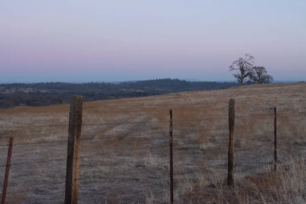 Spokojny Krajobraz Suchego Zimnego Pola Krajobraz Wiekiem Drutu Ogrodzenia Różowo — Zdjęcie stockowe