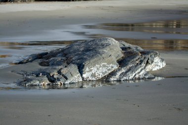 Kaya kayaları kumsaldaki kumlarla ortaya çıkar.