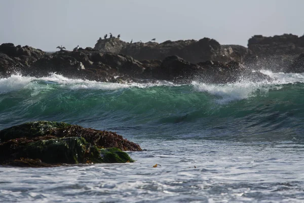 Okyanusta Kayaların Kayaların Üzerinden Yükselen Dalgaların Manzarası — Stok fotoğraf