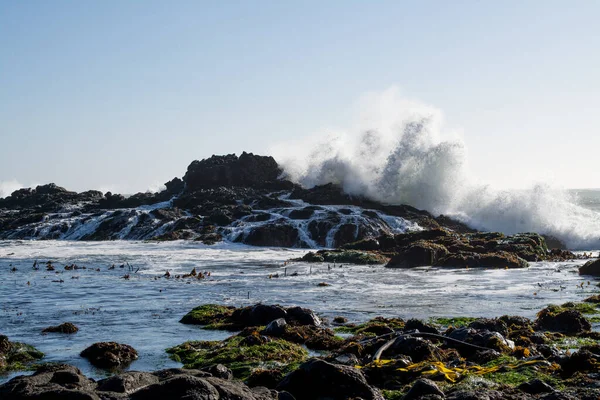 ロッキー カリフォルニア沿岸で大きな波が — ストック写真