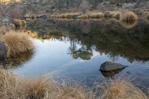 Spiegelglatte Spiegelung Aus Ruhigem Stillen Wasser Mit Gras — Stockfoto
