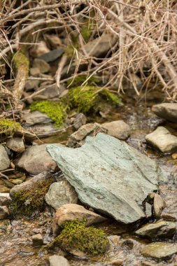 Doğadaki küçük su akışında farklı kaya ve dallar. 