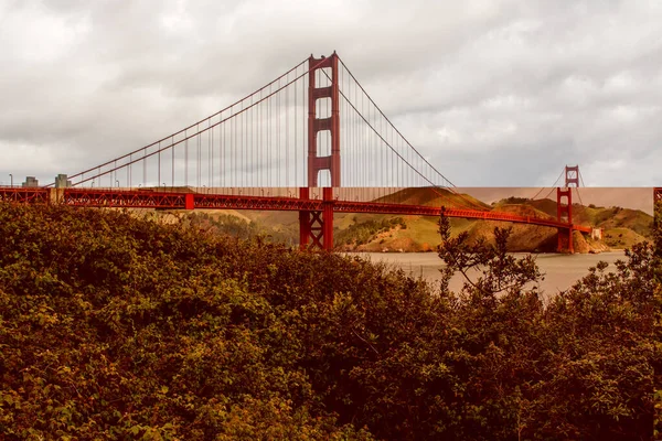 Paisaje Exuberante Vegetación Puente Colgante Golden Gate Día Nublado Verano — Foto de Stock