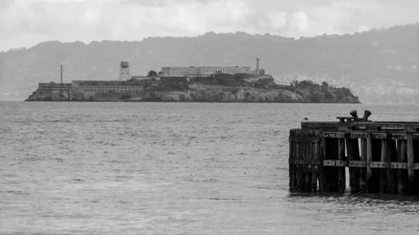 Isola Alcatraz San Francisco — Foto Stock
