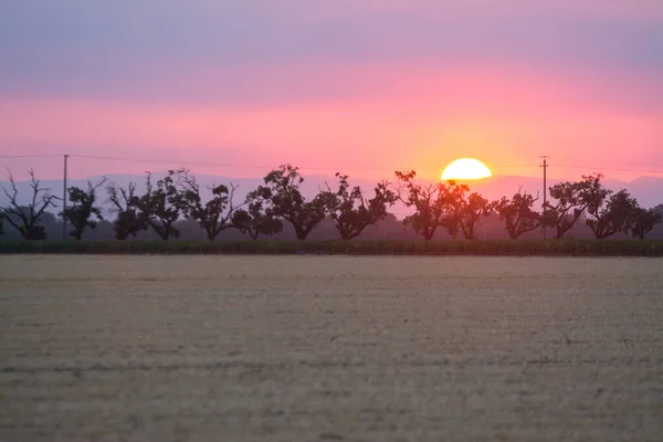 Sonnenuntergang Über Hügeln Bäume Und Abgeerntete Landwirtschaftliche Feld — Stockfoto