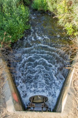 Yukarıdan, beton drenaj kanalında kapaktan akan ve yemyeşil çimenlerin arasında derede akan suyun görüntüsü geliyor.