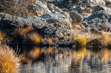 Sakin sulara yansıyan kuru otlarla kayalık bir sahil manzarası, çevrenin doğal güzelliğini gözler önüne seriyor..