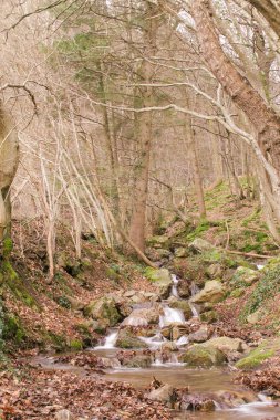Beautiful view of the stream  Ninglinspo