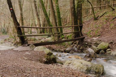 Beautiful view of the stream  Ninglinspo