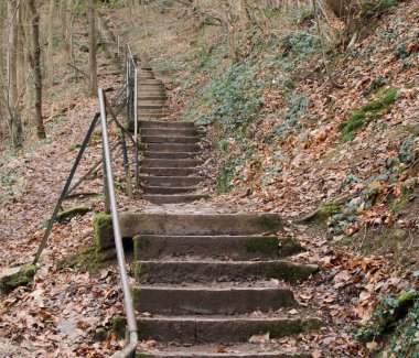 Beautiful view of a path, Durbuy