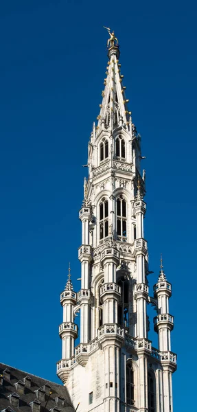 比利时布鲁塞尔 2023年2月27日 布鲁塞尔市政厅 塔楼概览 — 图库照片