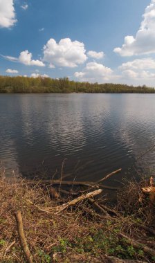 Harchies bataklıklarının güzel manzarası