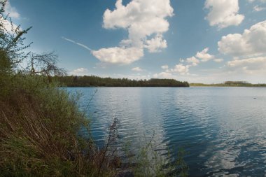 Harchies bataklıklarının güzel manzarası