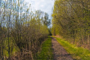 Belçika, Harchies - 15 Nisan 2023 Harchies bataklığının güzel manzarası