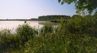 Belçika, Harchies - 5 Haziran 2023 Harchies bataklığının güzel manzarası