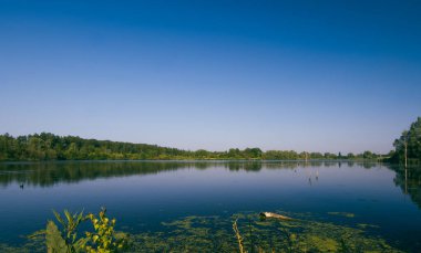 Belçika, Harchies - 5 Haziran 2023 Harchies bataklığının güzel manzarası