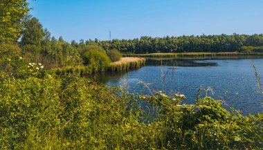 Belçika, Harchies - 5 Haziran 2023 Harchies bataklığının güzel manzarası