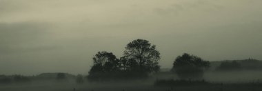 Harchies bataklıklarının güzel manzarası