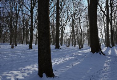 Güzel kış manzara Belçika