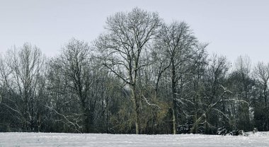 Güzel kış manzara Belçika