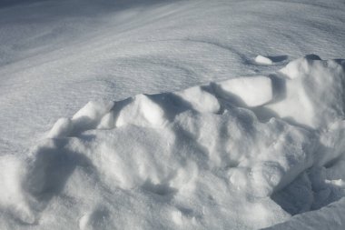 A breils of snow surface