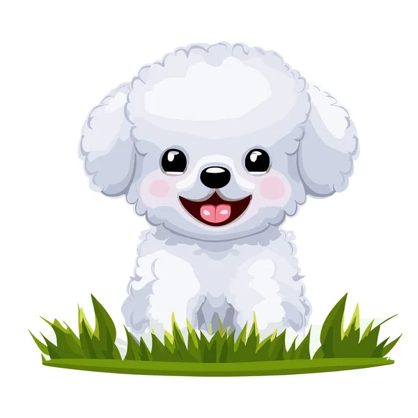 Vektor Cartoon Weißer Pudel Hund — Stockvektor