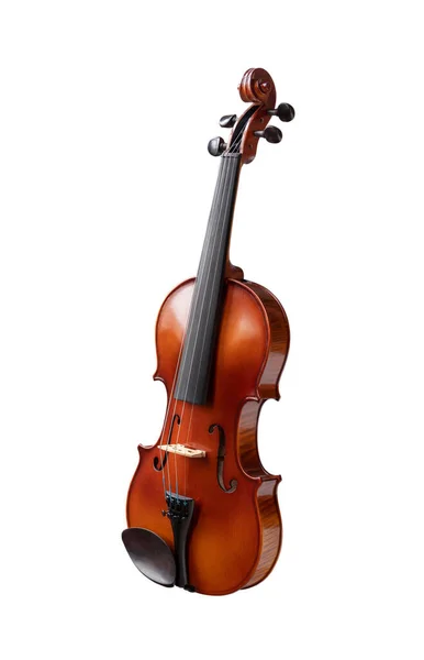 Violino Instrumento Música Fundo Branco — Fotografia de Stock