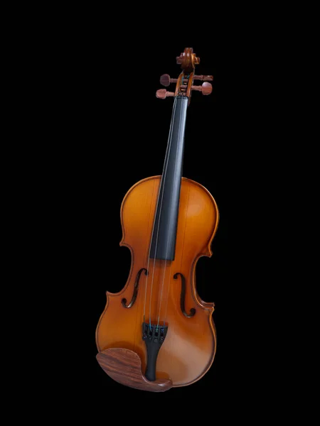 Violino Instrumento Música Fundo Preto — Fotografia de Stock