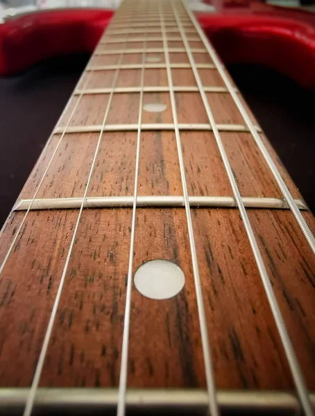 Klavye Gitarının Yakın Çekim Görüntüsü Deniz Kulağı Izli Gül Ağacı — Stok fotoğraf