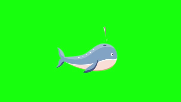Video Desen Animat Albastru Wale Design Conceptul Subacvatic — Videoclip de stoc