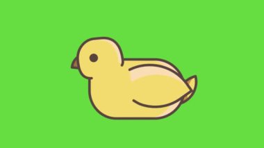 Yeşil arka planda çizgi film sarı tavuğun 4K videosu. Paskalya kavramı.
