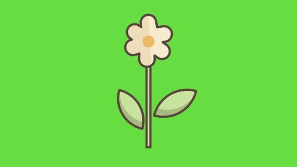 Video Vertikal Dari Bunga Kartun Pada Latar Belakang Wgreen Ite — Stok Video