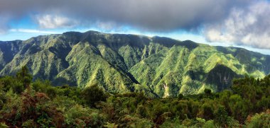Portekiz 'in Madeira kentindeki yeşil dağ manzarasında yağmur ormanı (Levada da Ribeira da Janela), orman