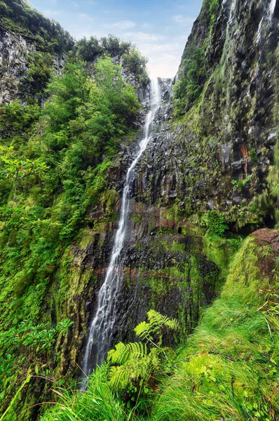 Vodopád Risco Madeiře Zelenou Vegetací Portugalsko — Stock fotografie