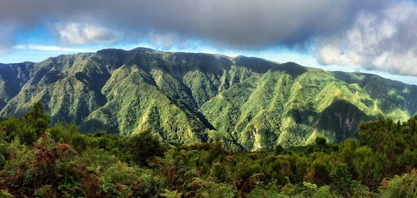 Rain Forest Green Mountain Landscape Madeira Portugal Levada Ribeira Janela — Stock Photo, Image