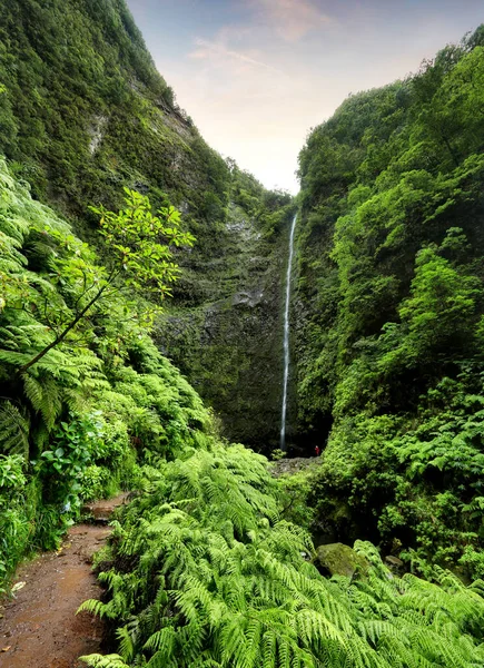 マデイラ レバダCaldeiraoヴェルデ 緑の雨の森のジャングルの終わりの美しい滝 — ストック写真