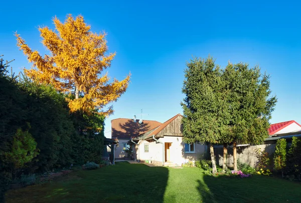 Özel Bir Evin Arka Bahçesinde Sarı Ağaçlı Taze Kesilmiş Çimenler — Stok fotoğraf