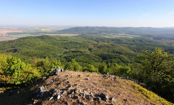 Panorama Floresta Montanha Cárpatos Com Sol Eslováquia — Fotografia de Stock