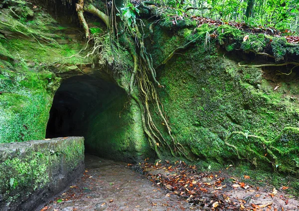 Madeira 'da yürüyüş parkurundaki tünel, Levada Caldeirao Verde